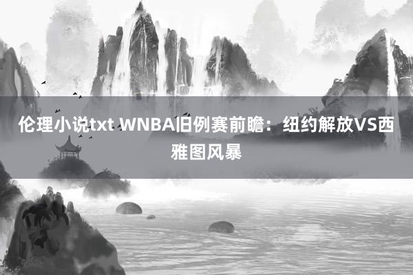 伦理小说txt WNBA旧例赛前瞻:纽约解放VS西雅图风暴