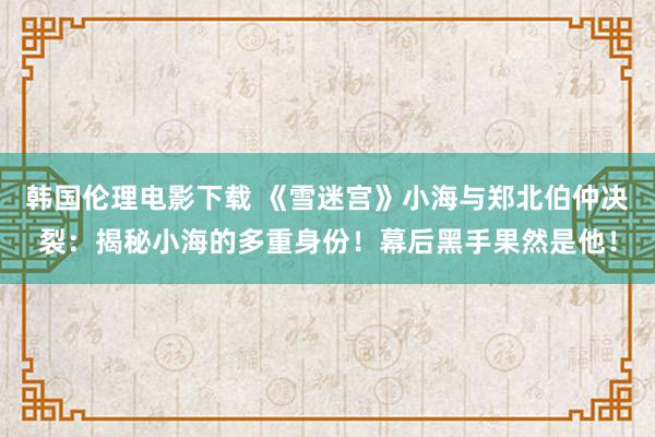 韩国伦理电影下载 《雪迷宫》小海与郑北伯仲决裂：揭秘小海的多重身份！幕后黑手果然是他！