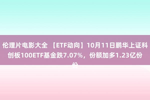伦理片电影大全 【ETF动向】10月11日鹏华上证科创板100ETF基金跌7.07%,份额加多1.23亿份