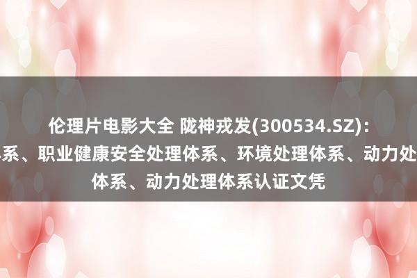 伦理片电影大全 陇神戎发(300534.SZ):得回质地处理体系、职业健康安全处理体系、环境处理体系、动力处理体系认证文凭