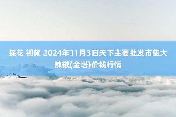 探花 视频 2024年11月3日天下主要批发市集大辣椒(金塔)价钱行情