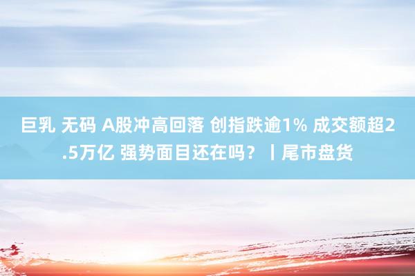 巨乳 无码 A股冲高回落 创指跌逾1% 成交额超2.5万亿 强势面目还在吗?丨尾市盘货
