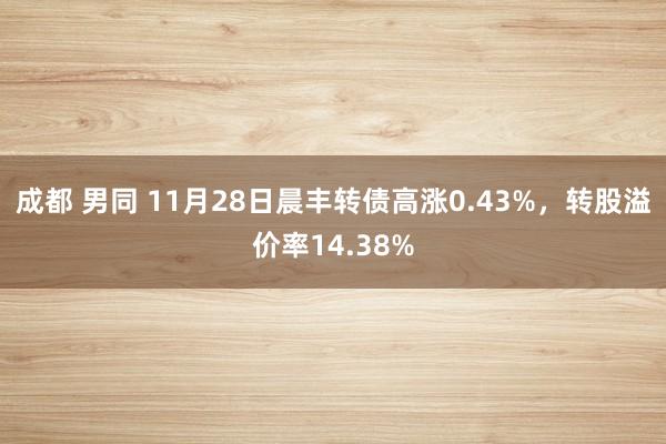 成都 男同 11月28日晨丰转债高涨0.43%,转股溢价率14.38%
