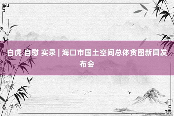 白虎 自慰 实录 | 海口市国土空间总体贪图新闻发布会