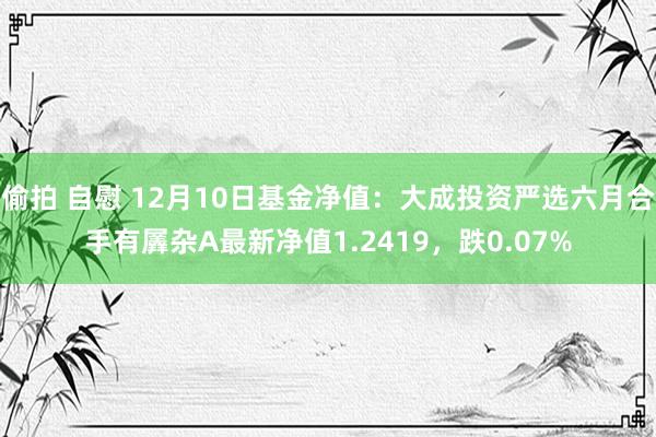 偷拍 自慰 12月10日基金净值：大成投资严选六月合手有羼杂A最新净值1.2419，跌0.07%