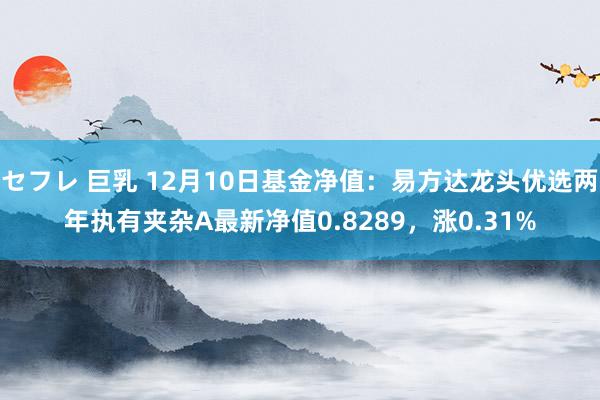 セフレ 巨乳 12月10日基金净值：易方达龙头优选两年执有夹杂A最新净值0.8289，涨0.31%