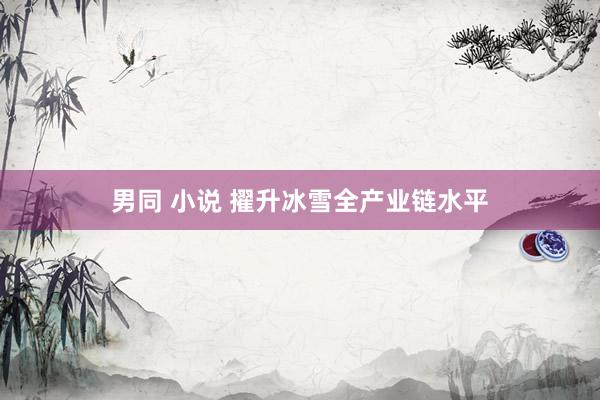 男同 小说 擢升冰雪全产业链水平