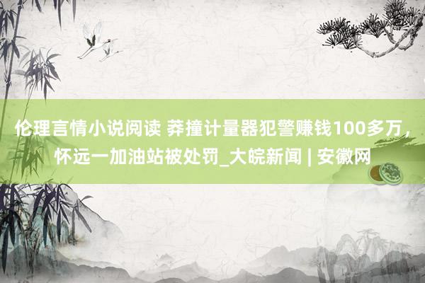 伦理言情小说阅读 莽撞计量器犯警赚钱100多万，怀远一加油站被处罚_大皖新闻 | 安徽网