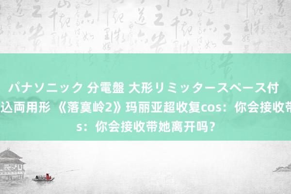 パナソニック 分電盤 大形リミッタースペース付 露出・半埋込両用形 《落寞岭2》玛丽亚超收复cos：你会接收带她离开吗？