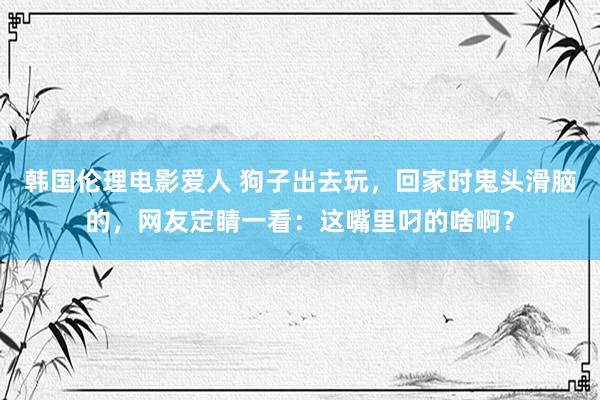 韩国伦理电影爱人 狗子出去玩，回家时鬼头滑脑的，网友定睛一看：这嘴里叼的啥啊？