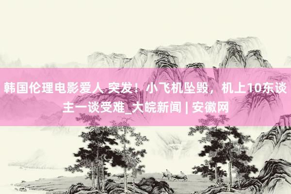 韩国伦理电影爱人 突发！小飞机坠毁，机上10东谈主一谈受难_大皖新闻 | 安徽网
