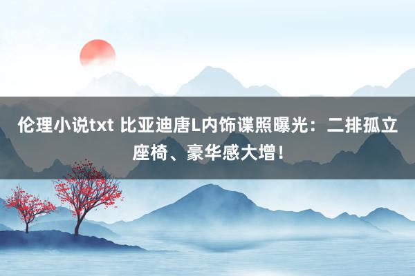 伦理小说txt 比亚迪唐L内饰谍照曝光：二排孤立座椅、豪华感大增！