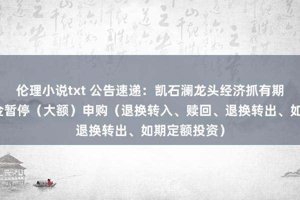 伦理小说txt 公告速递:凯石澜龙头经济抓有期搀杂基金基金暂停(大额)申购(退换转入、赎回、退换转出、如期定额投资)