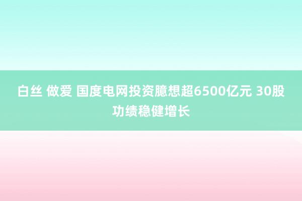 白丝 做爱 国度电网投资臆想超6500亿元 30股功绩稳健增长