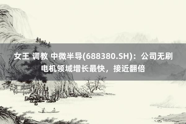 女王 调教 中微半导(688380.SH)：公司无刷电机领域增长最快，接近翻倍