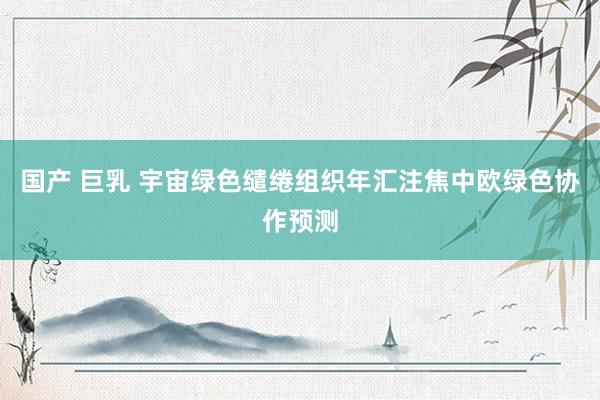 国产 巨乳 宇宙绿色缱绻组织年汇注焦中欧绿色协作预测