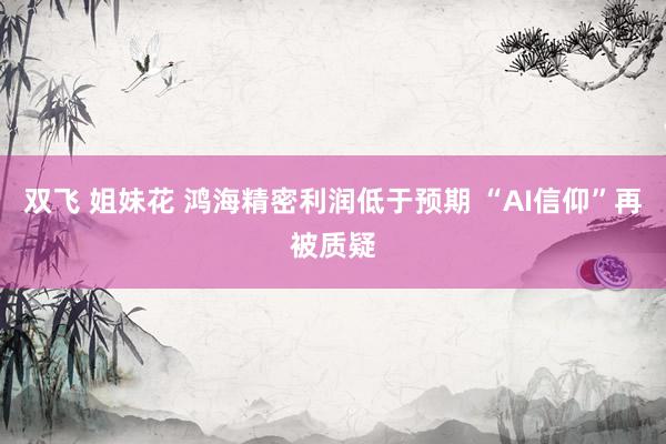 双飞 姐妹花 鸿海精密利润低于预期 “AI信仰”再被质疑