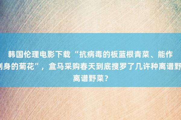 韩国伦理电影下载 “抗病毒的板蓝根青菜、能作念刺身的菊花”，盒马采购春天到底搜罗了几许种离谱野菜？