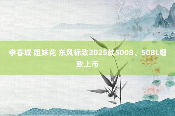 李春城 姐妹花 东风标致2025款5008、508L细致上市