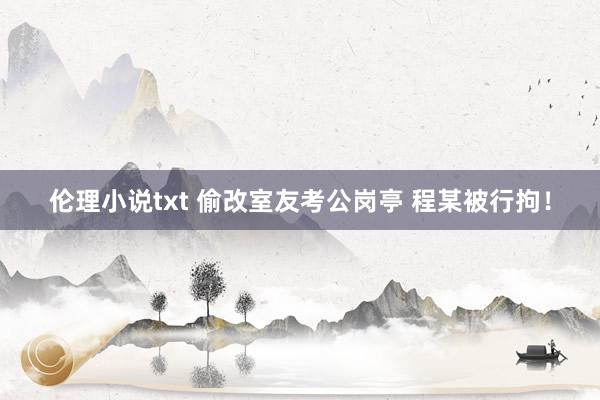 伦理小说txt 偷改室友考公岗亭 程某被行拘！