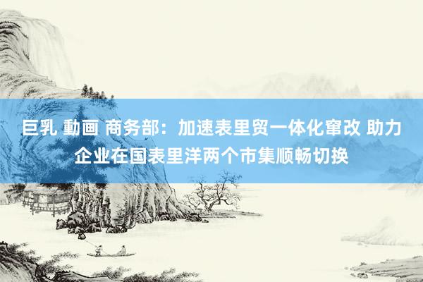 巨乳 動画 商务部：加速表里贸一体化窜改 助力企业在国表里洋两个市集顺畅切换