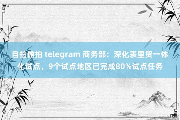 自拍偷拍 telegram 商务部：深化表里贸一体化试点，9个试点地区已完成80%试点任务