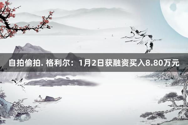 自拍偷拍. 格利尔：1月2日获融资买入8.80万元