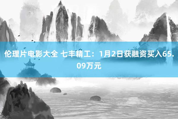 伦理片电影大全 七丰精工：1月2日获融资买入65.09万元