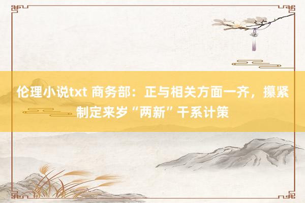伦理小说txt 商务部：正与相关方面一齐，攥紧制定来岁“两新”干系计策