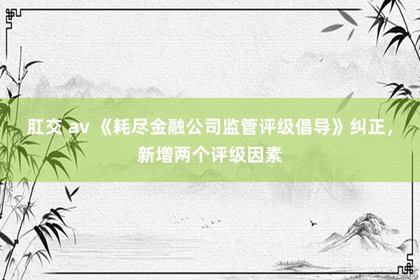 肛交 av 《耗尽金融公司监管评级倡导》纠正，新增两个评级因素