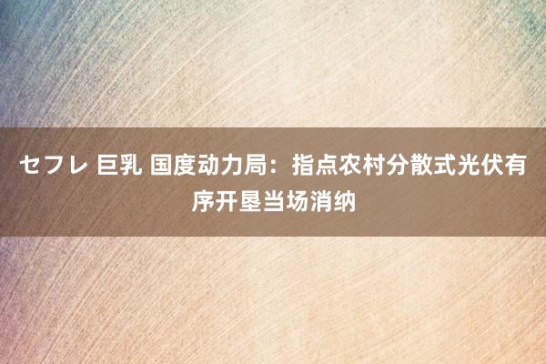 セフレ 巨乳 国度动力局：指点农村分散式光伏有序开垦当场消纳