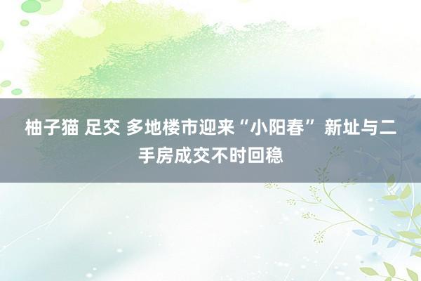 柚子猫 足交 多地楼市迎来“小阳春” 新址与二手房成交不时回稳