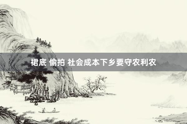 裙底 偷拍 社会成本下乡要守农利农