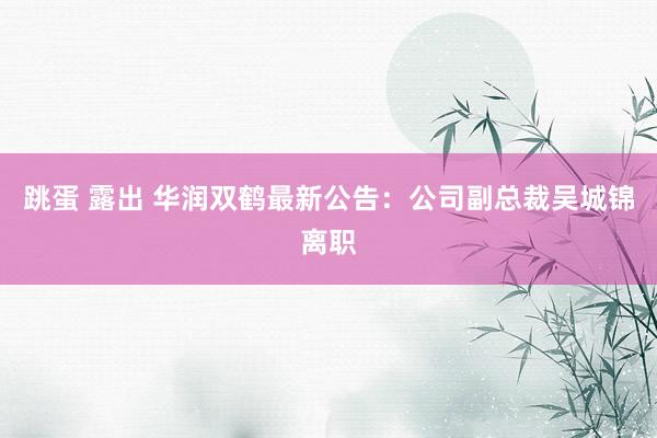 跳蛋 露出 华润双鹤最新公告：公司副总裁吴城锦离职