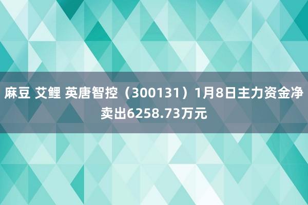 麻豆 艾鲤 英唐智控（300131）1月8日主力资金净卖出6258.73万元