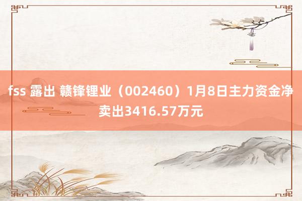fss 露出 赣锋锂业（002460）1月8日主力资金净卖出3416.57万元