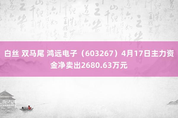 白丝 双马尾 鸿远电子（603267）4月17日主力资金净卖出2680.63万元