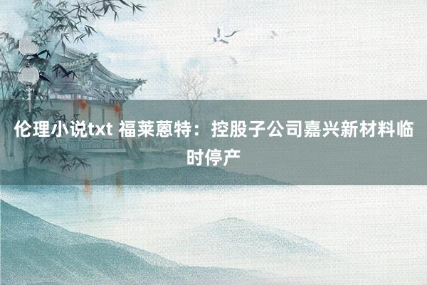 伦理小说txt 福莱蒽特：控股子公司嘉兴新材料临时停产