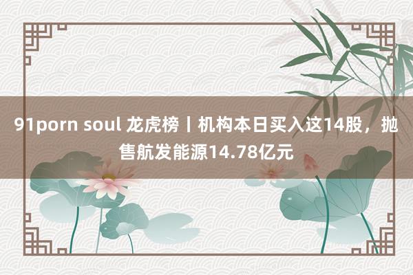 91porn soul 龙虎榜丨机构本日买入这14股，抛售航发能源14.78亿元