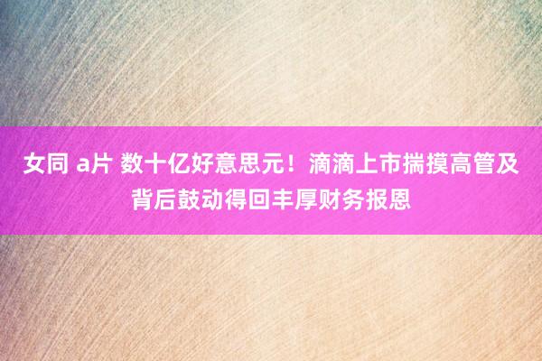 女同 a片 数十亿好意思元！滴滴上市揣摸高管及背后鼓动得回丰厚财务报恩