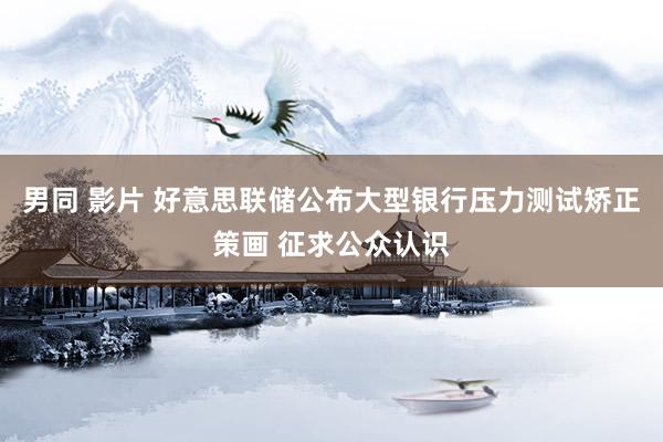男同 影片 好意思联储公布大型银行压力测试矫正策画 征求公众认识