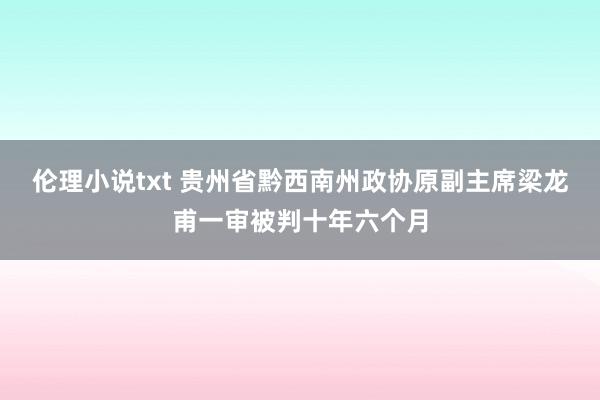 伦理小说txt 贵州省黔西南州政协原副主席梁龙甫一审被判十年六个月