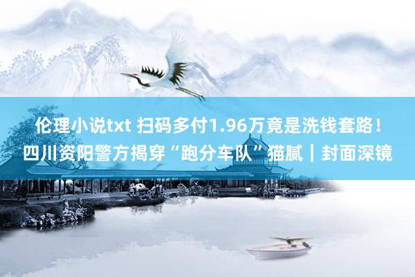 伦理小说txt 扫码多付1.96万竟是洗钱套路！四川资阳警方揭穿“跑分车队”猫腻｜封面深镜
